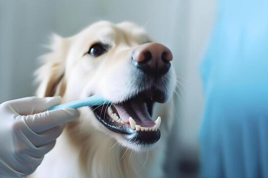 Teeth cleaning service