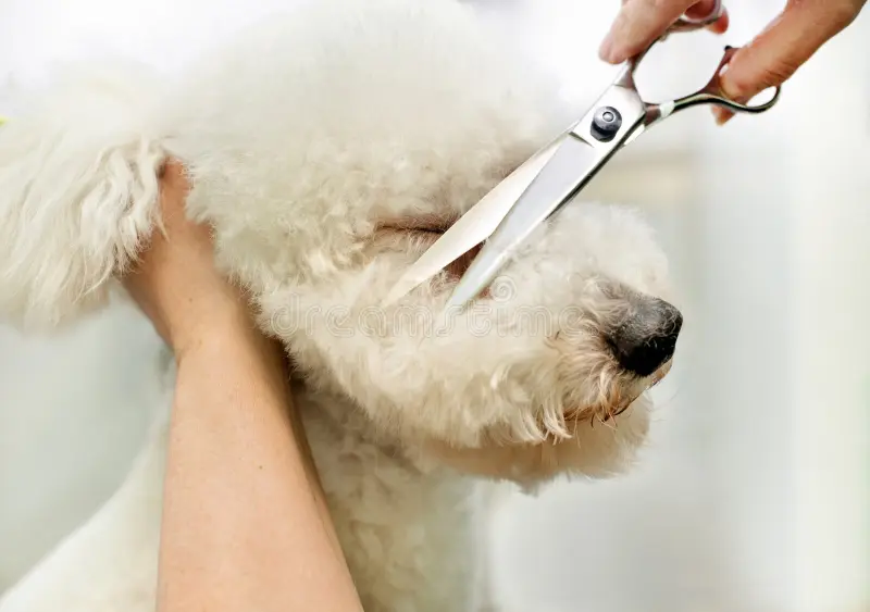 Coat trimming service