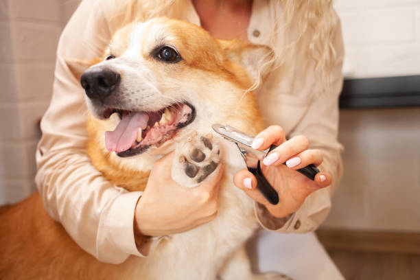 Nail clipping service